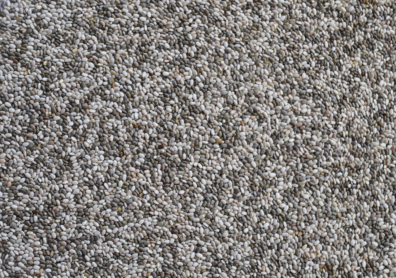 Chia seeds — Salvia hispanica, processed at the Quessentials Malur facility