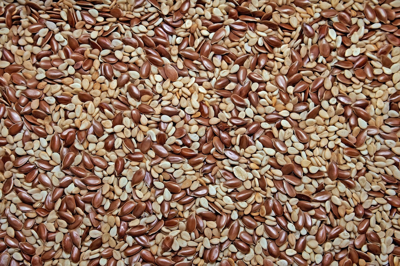 Hulled sesame seeds — cream-coloured Sesamum indicum